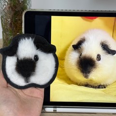 Custom Handmade Wool Felt Fridge Magnet | Perfect for Pet Lovers | 2-3 Weeks Production