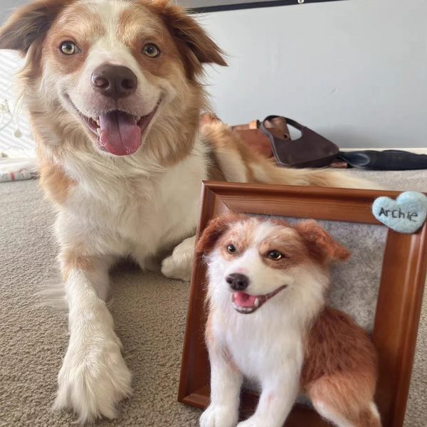 3D Custom Plush Animal Clone with Wooden Frame - A Perfect Keepsake Gift for Pet Lovers  | HmadeArt