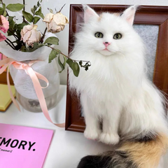 3D Custom Plush Animal Clone with Wooden Frame - A Perfect Keepsake Gift for Pet Lovers | WoolenPet