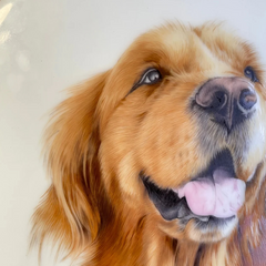 Custom Hand-painted Ceramic Pets or Portraits - 95% Similarity, Masterpiece from Jingdezhen