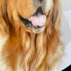 Custom Hand-painted Ceramic Pets or Portraits - 95% Similarity, Masterpiece from Jingdezhen