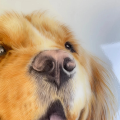 Custom Hand-painted Ceramic Pets or Portraits - 95% Similarity, Masterpiece from Jingdezhen