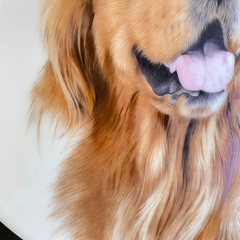 Custom Hand-painted Ceramic Pets or Portraits - 95% Similarity, Masterpiece from Jingdezhen